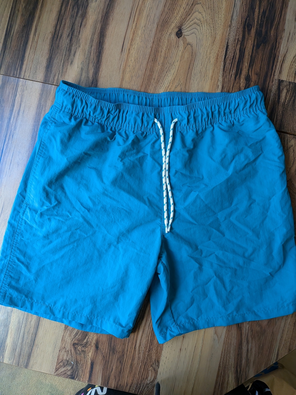 Men's Teal Swim Shorts
